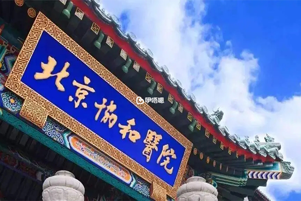 試管嬰兒費用不菲,主要還是和繁瑣的治療過程有關