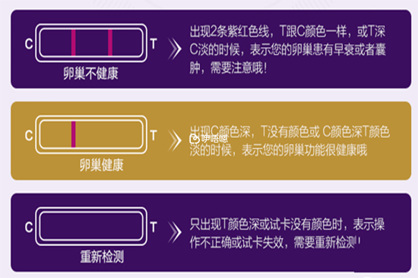 促卵泡生成激素試紙不同結果代表的意義