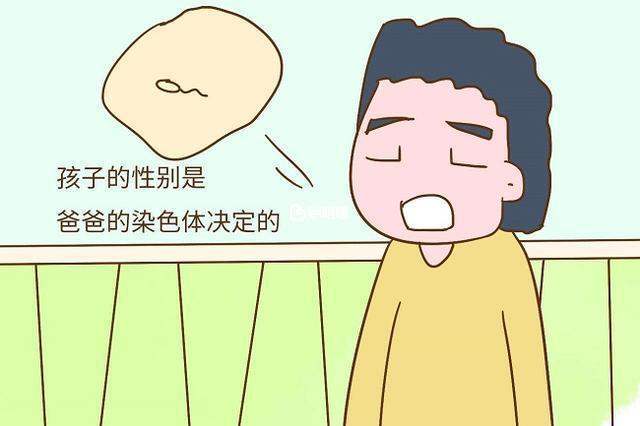 Y精子分離