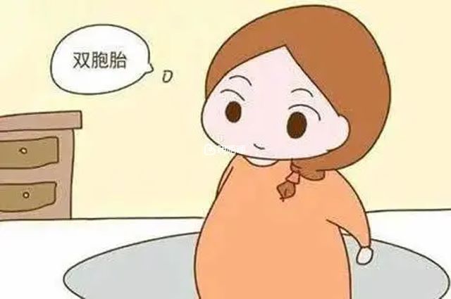 龍鳳胎只能由異卵產生
