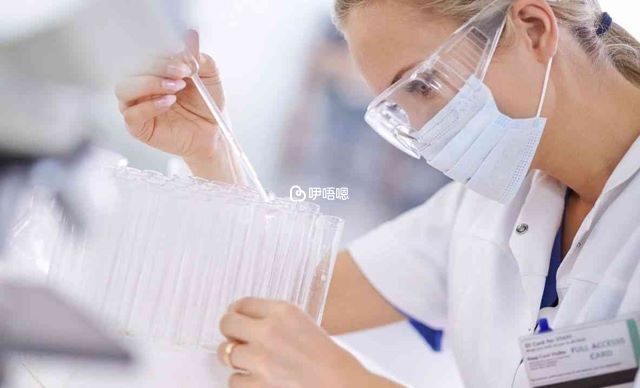 二代試管流程包含精子篩查