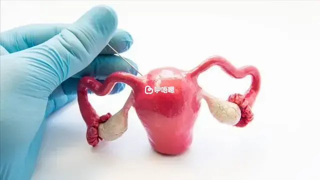 太和人民醫院無法為輸卵管堵塞患者做試管