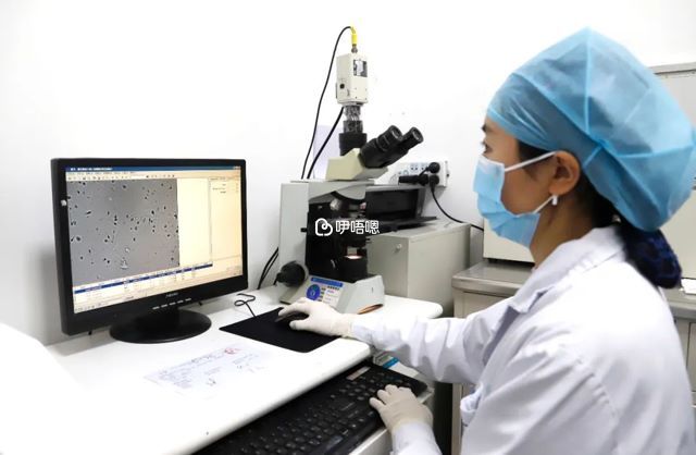 楊振華擅長做宮腔鏡手術