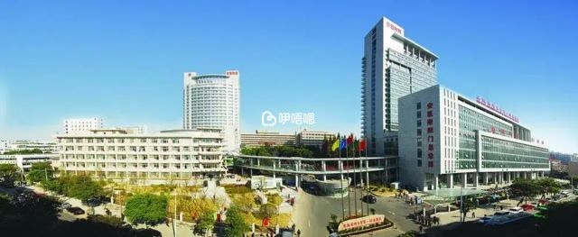安醫附院可以做三代試管