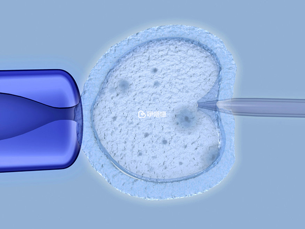 通過方法提高試管嬰兒成功率