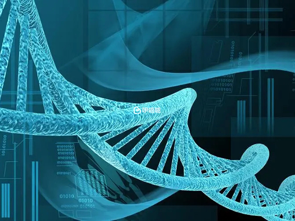 要重視精子NDA完整性檢測
