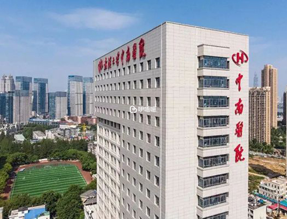 武漢中南醫院試管嬰兒成功率40%-52%