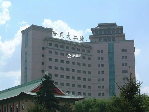 哈醫大二院