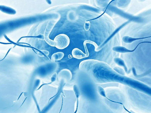 存活率可以判斷精子是否正常