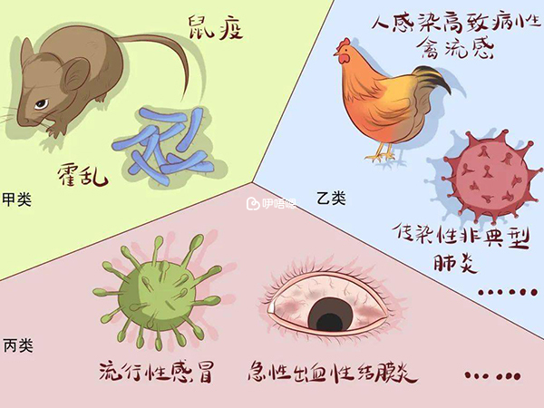 傳染病分為甲、乙、丙三類