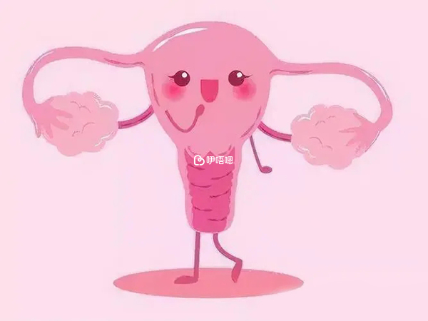 不同月經週期的子宮內環境成功率不同