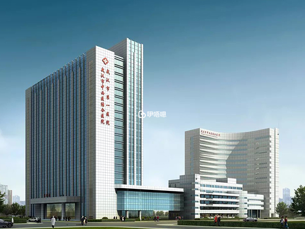 武漢市第一醫院環境