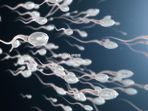 精子問題會影響試管成功率