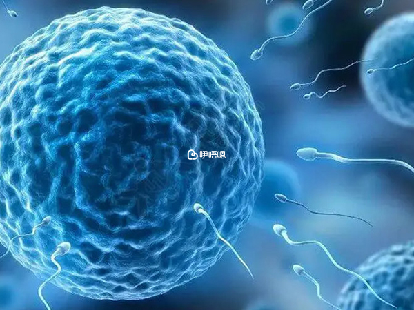 濰坊婦保院一代試管成功率在50%左右