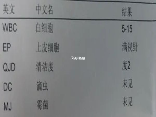 白帶結果檢測單