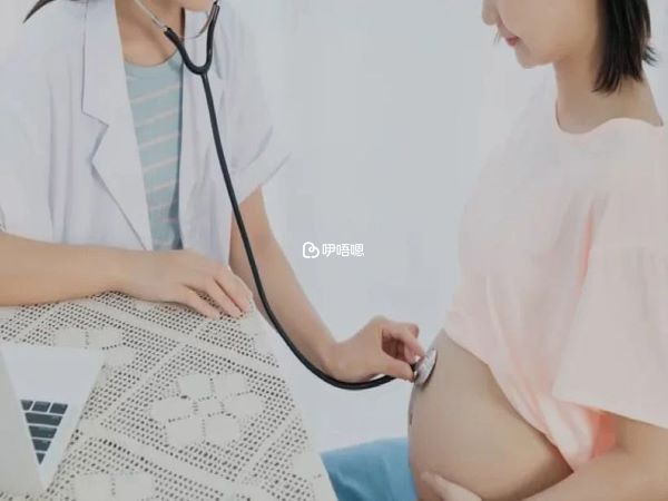 試管經驗分享