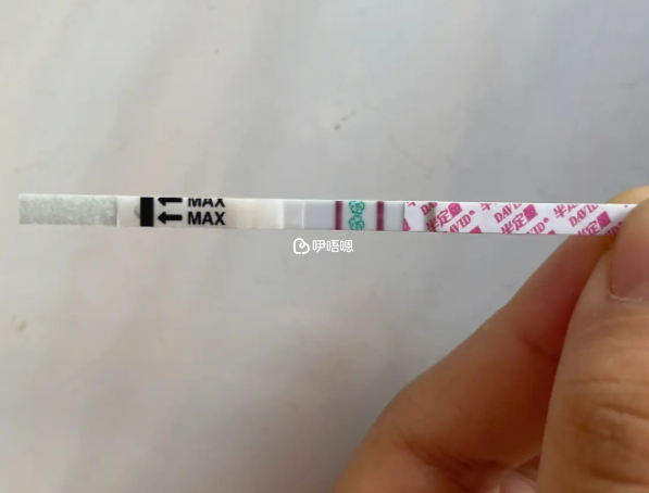 試管一次成功的可能性不是那麼大
