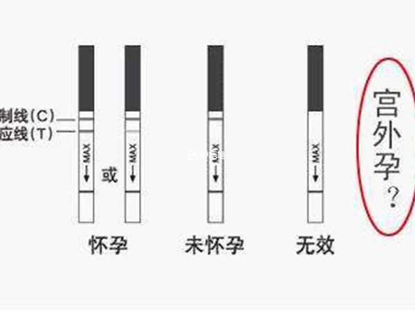 試紙過期後不能再使用了