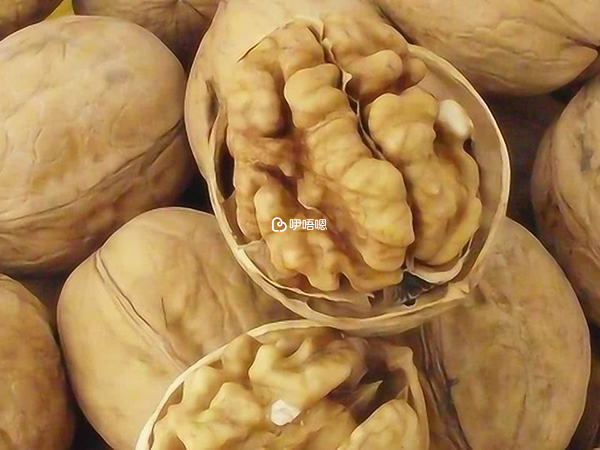 吃點核桃瓜子就能補充VE
