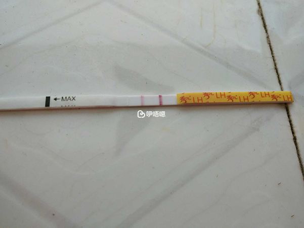 試紙可以作為驗孕的依據