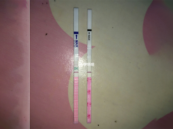 連續兩三天沒有明顯加深彆著急