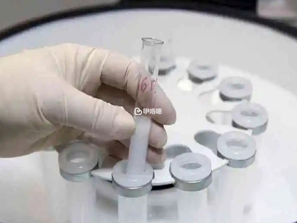 第一次試管移植失敗