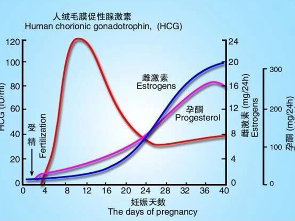只要HCG超過5就是懷孕了