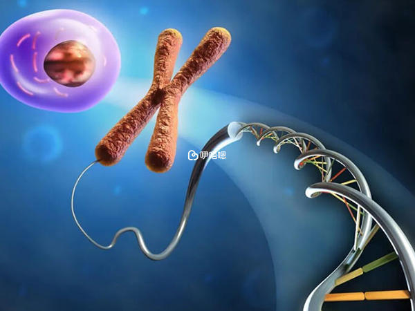 精子畸形率超過98%自然受孕機率極低