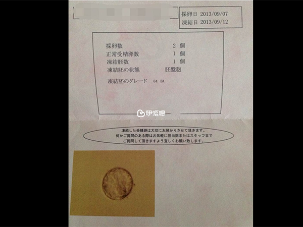 日本英醫院能做試管