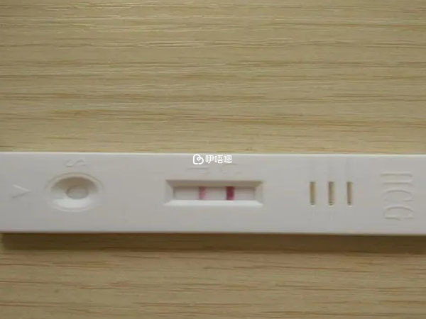 成功出現雙槓