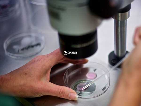 男性hiv感染者可以做試管嬰兒