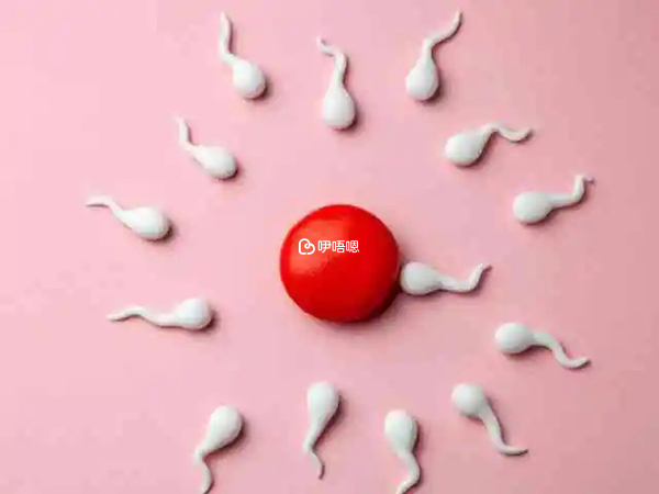 嚴重少精弱精可以申請供精助孕