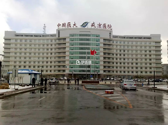 中國醫科大學盛京醫院