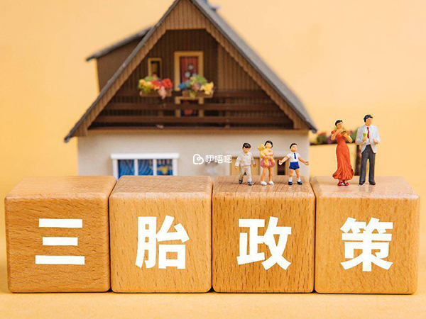 內蒙古三胎獎勵政策修訂完成