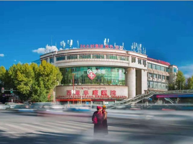 西藏阜康醫院可以做試管