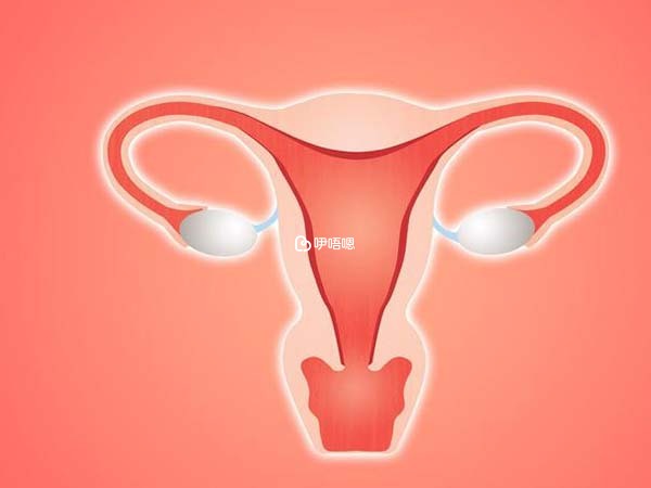 石女做子宮移植手術的條件在國內還不成熟