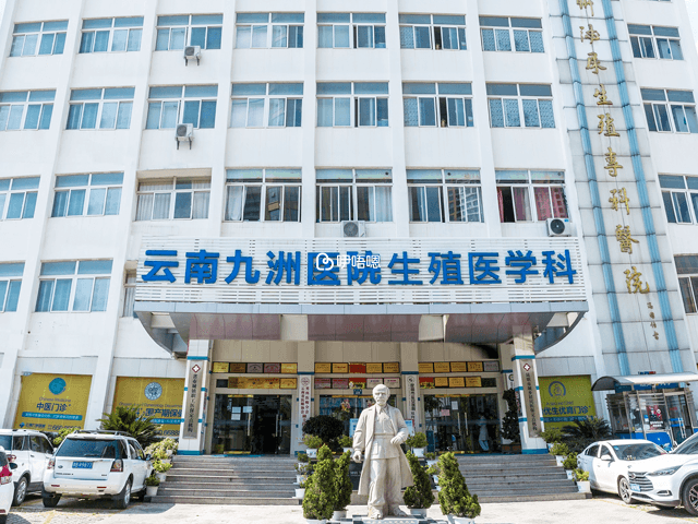 昆明九洲醫院試管成功率較高