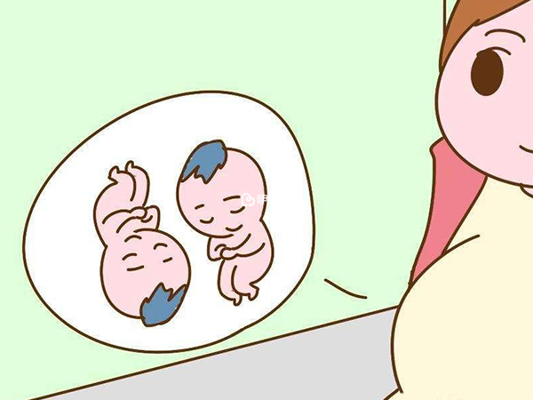 美國試管可以選擇移植雙胎