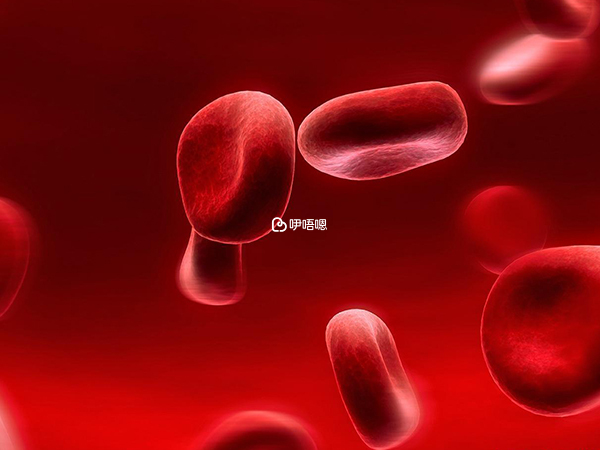 艾滋病毒在育齡人群中流行