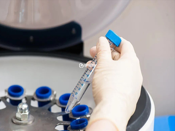 馬來西亞可以做hiv洗精
