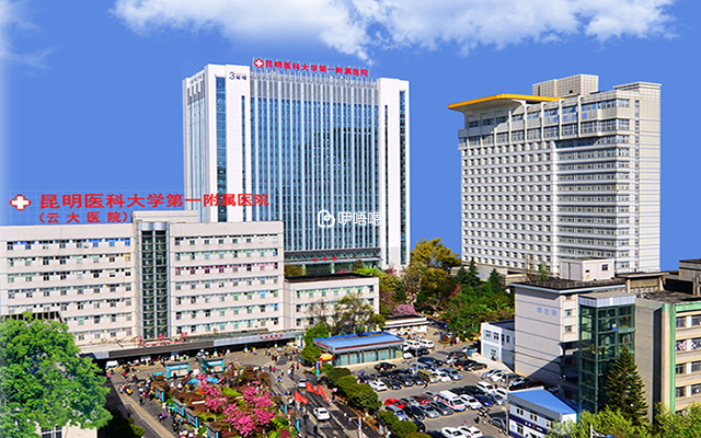 昆明醫科大學第一附屬醫院