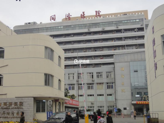 在上海同濟醫院做試管經歷