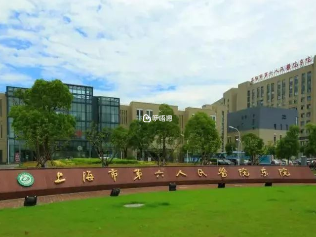上海六院試管嬰兒價格