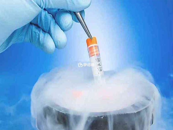 短方案要等到下一個月經週期才能做凍胚移植