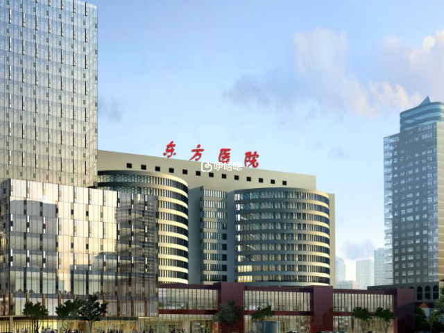 上海市東方醫院