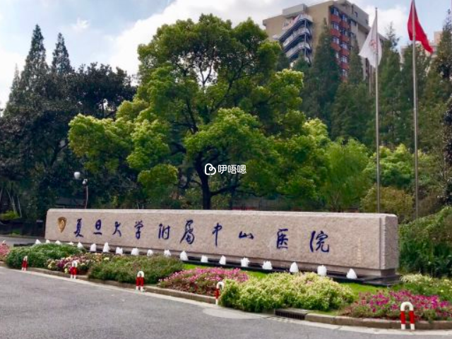 上海中山醫院是一所三級綜合醫院