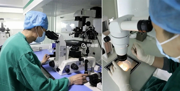 生殖中心醫療裝置