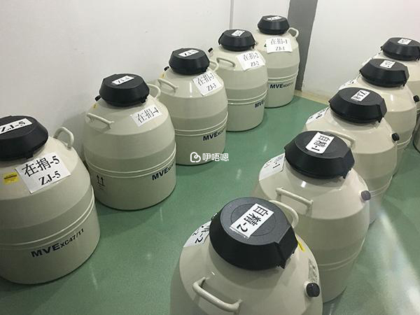 精子庫技術並不複雜