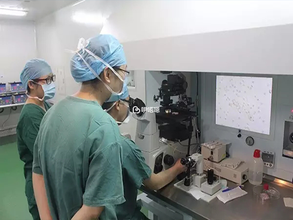 國內有不少顯微取精試管嬰兒醫院