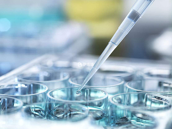 顯微取精做試管的成功率高
